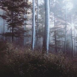 A Thanksgiving of Unnoticed Gratitude