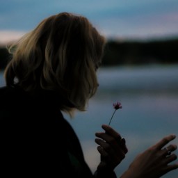 Make America Great Again