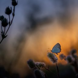 Giving Energy and Paying Attention