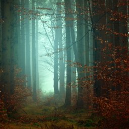 Where the Magic Happens: Practicing Radical Authenticity