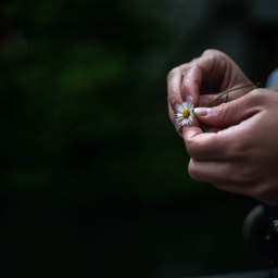 Palpable Joy: A November Gratitude Challenge