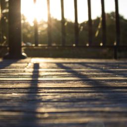 Somewhere Between Longing and Joy