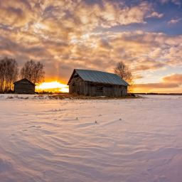 In the Shadow of an Old Barn