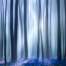 You may say I’m a dreamer